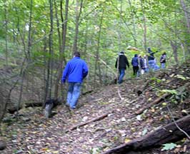 On the path along the ravine