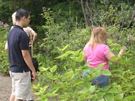 Exploring plants in the Oxbow