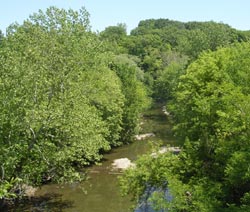 Big Creek as it flows in the valley