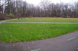 Future site of constructed wetland