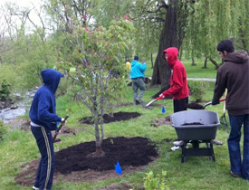 Planting along Stickney Creek