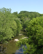 Big Creek in the valley